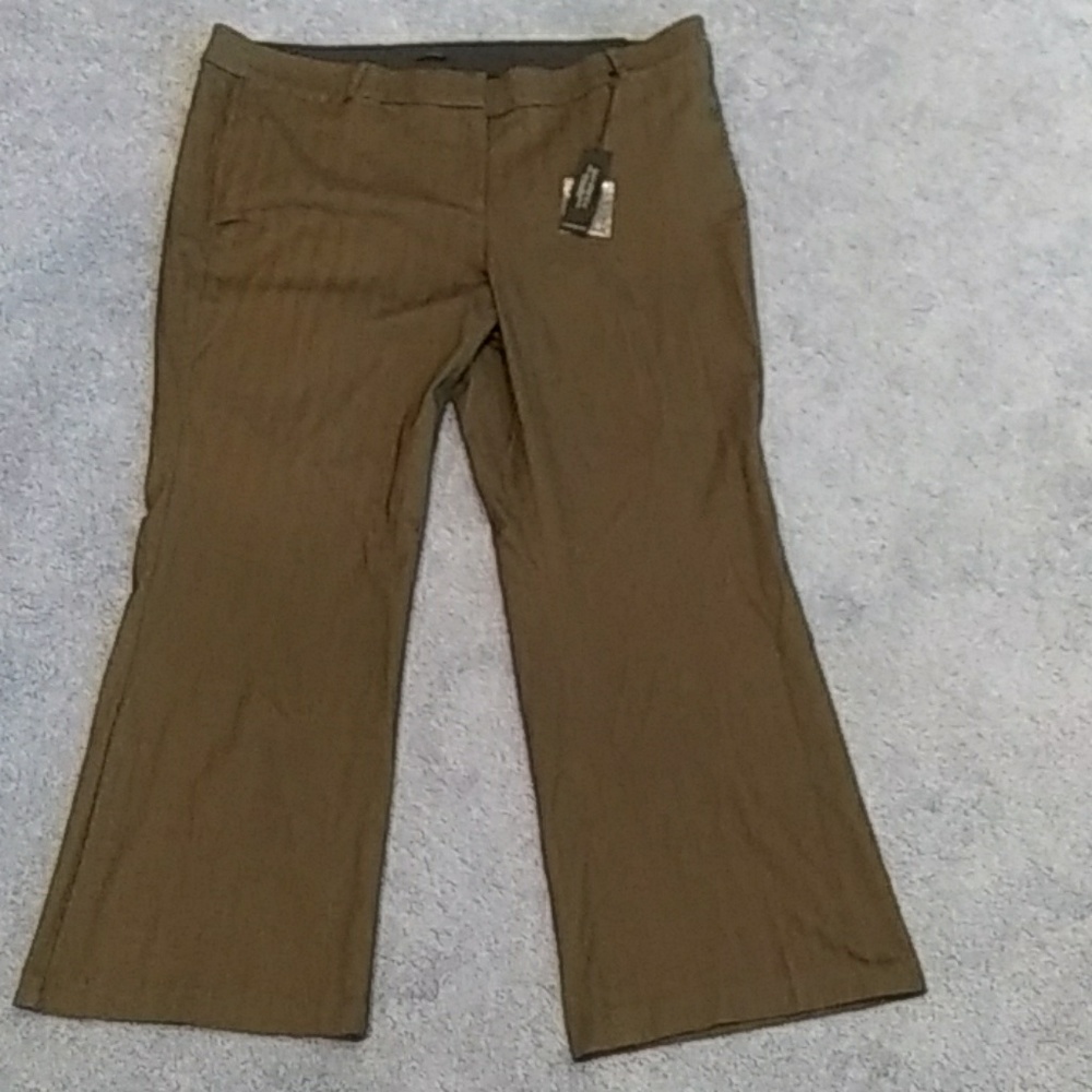 Lane Bryant Allie pants